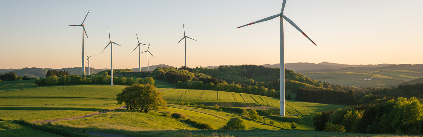 We Are Now a Carbon Neutral Business