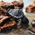 Geckota Ocean-Scout Dive Watch - Royal Blue - Slate Blue Nylon Strap - additional image 3